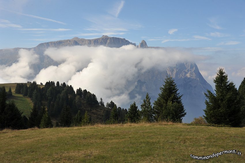 021 Alpe di Siusi - Altipiano dello Sciliar - Punta Sentner.JPG